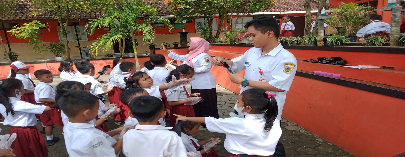 Mari Belajar Berkebun